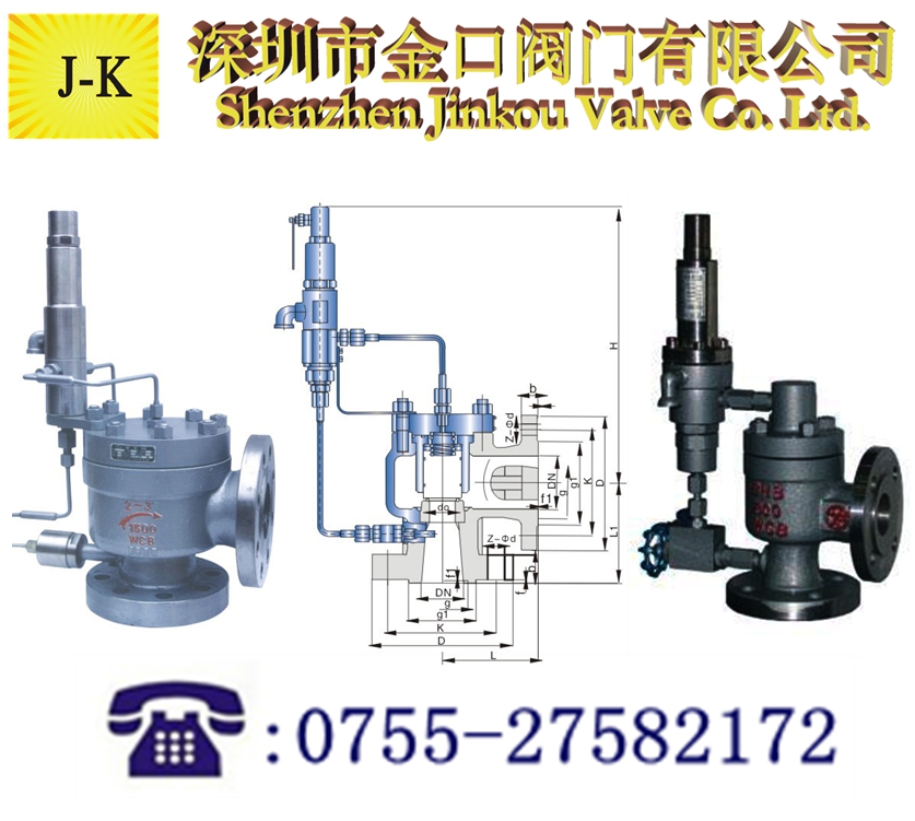 帶控制機(jī)構(gòu)先導(dǎo)式安全閥